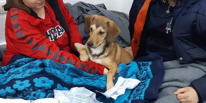 'Umut yolculuğu'na köpeğiyle çıktı