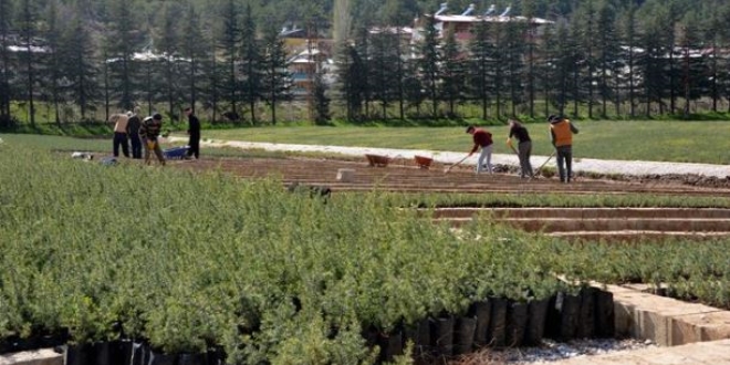 Yılda 6 milyon üretilip tüm Türkiye'ye gönderiliyor
