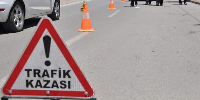 Çarptığı köpeğin başında dakikalarca bekledi