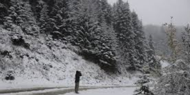 Bolu'da kar yağışı