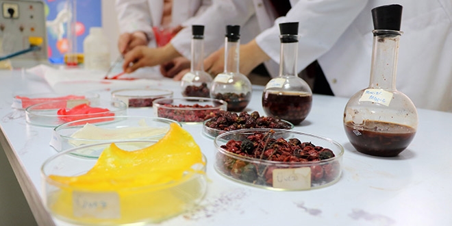 Kırmızı bitkilerden zararsız biyoplastik ürettiler