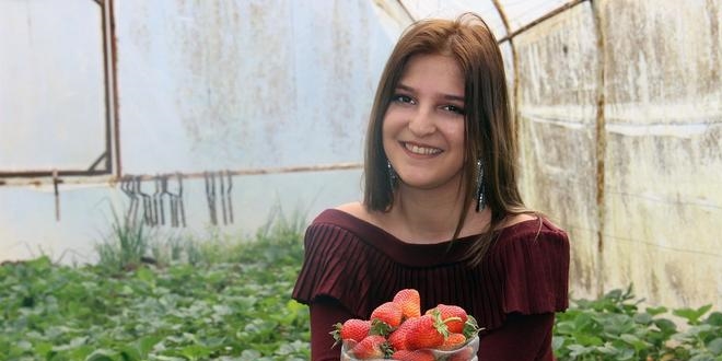 Sezonun ilk Osmanlı çileği çıktı