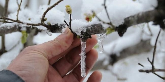 Meteorolojiden zirai don uyars-Harital