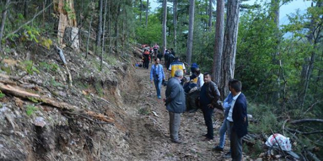 Orman işçilerinin üzerine ağaç devrildi: 1 ölü, 1 yaralı