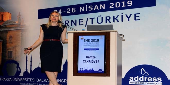 Erkek beyni kutucuklardan kadın beyni alanlardan oluşuyor