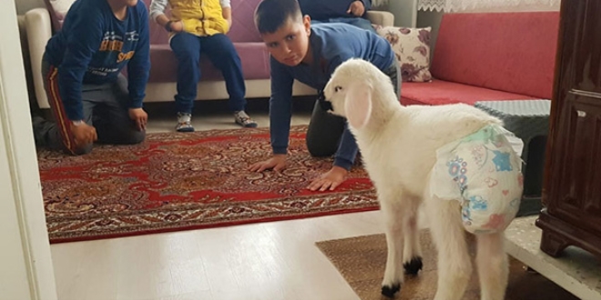Kuzuyla alışverişe gidiyor, çocuk bezi bağlıyor