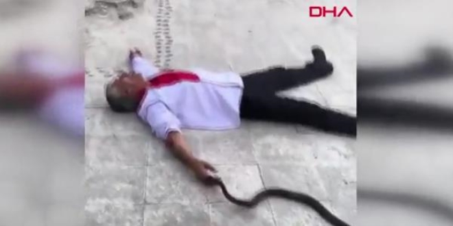 Yine yaptı yapacağını... Yılana ısırtıp, baygınlık geçirdi