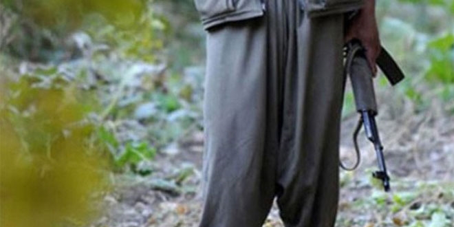 Dicle kırsalında gri kategoride aranan terörist öldürüldü