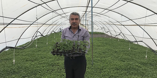 Bu köyde herkes geçimini bu işten sağlıyor