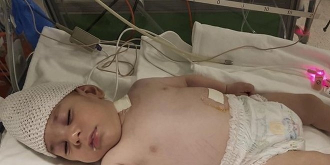 Ankara Adli Tıp, alkollü sürücüyü kusursuz buldu
