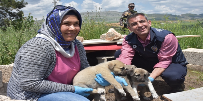 Polis memuru, mağarada bulduğu köpek yavrularına sahip çıktı