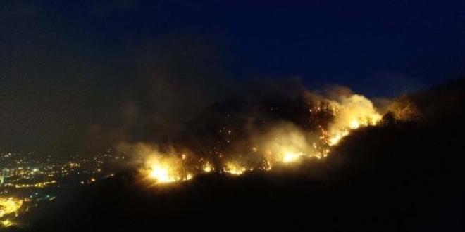Giresun'da orman yangını! Müdahale edilemiyor