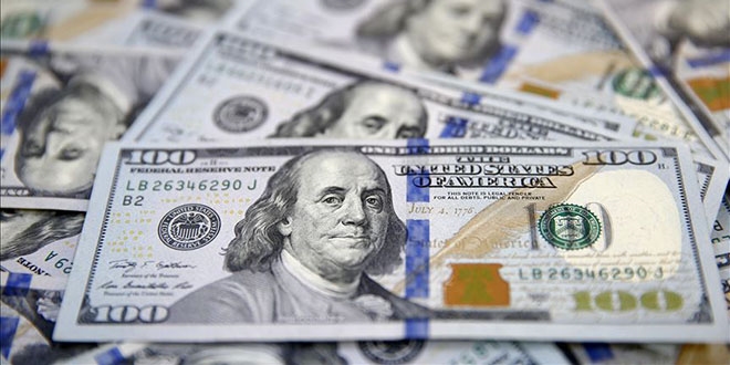 Yıllık en çok dolar kazandırdı