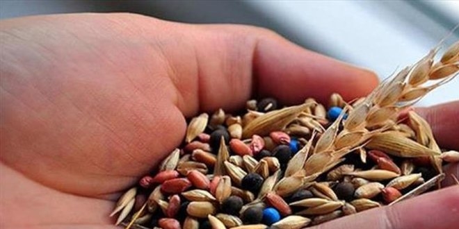 'Tohumculukta hiçbir ülkeye bağımlı değiliz'