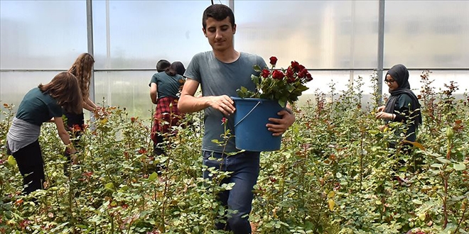 Bu okulda geleceğin seracıları yetiştiriliyor