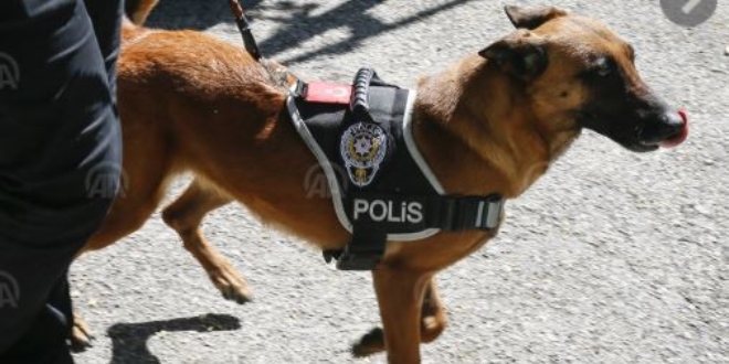 Ankara'nın güvenliği hassas burunlara emanet