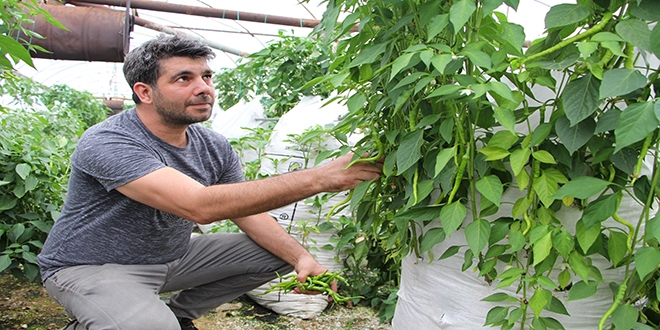 Elektrik mühendisi, serasında 'Çuval'la para kazanıyor