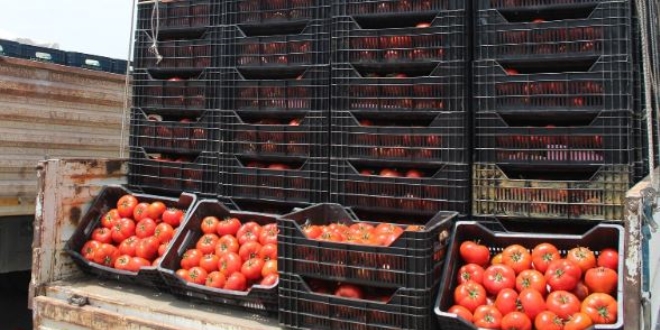 Domates'in fiyatı 1 liraya kadar düştü