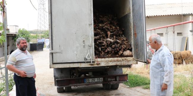 Tarım Bakanlığından 'kaçak kesimhane' açıklaması