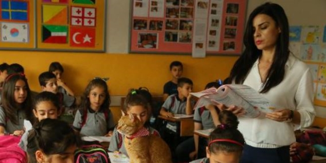 Özlem öğretmen, doktora için İsviçre'ye gidiyor