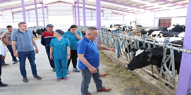 Devlet desteğiyle kurulan kooperatif yılda 600 ton süt üretiyor