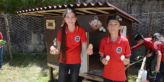 Öğrenciler okulda tavuk besliyor, sebze yetiştiriyor
