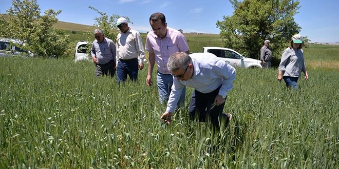 Kayseri'de Tarım personelin izinleri iptal edildi