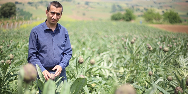 Kilosu 40 TL'ye satılıyor!