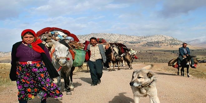 Antalya'da Yrkler yaylalara yerlemeye balad