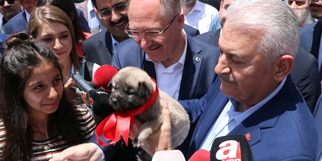 Binali Yıldırım: Biz her şeye hazırız