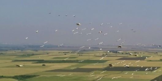 Dünyanın en mutlu ülkeleri