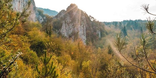 Kre Dalar Milli Park'na yeni sertifika