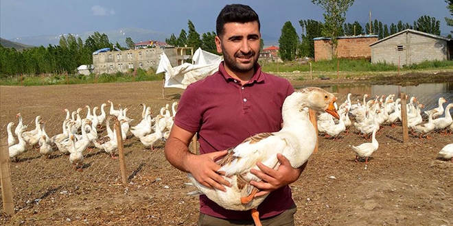 Kaz çiftliği hayalini devlet desteğiyle gerçekleştirdi