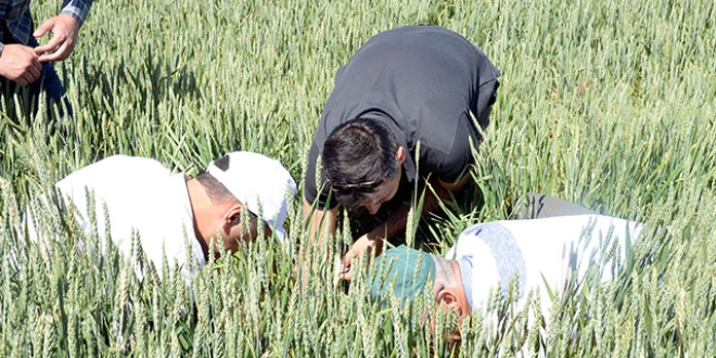Yozgat'ta 2 milyon dekar tarım alanı tehdit altında