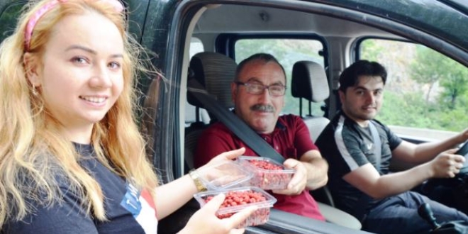 Günde bir kilo toplanabiliyor! 120 TL'den satılıyor