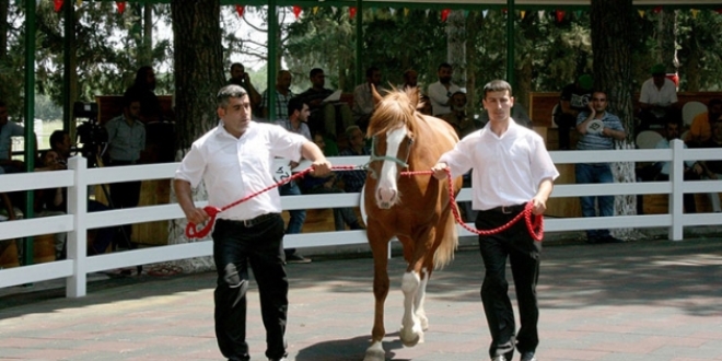 TİGEM 249 tay satacak