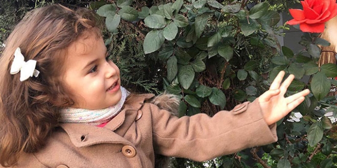 Öykü Arin'in ailesinden Sağlık Bakanlığı'na çağrı