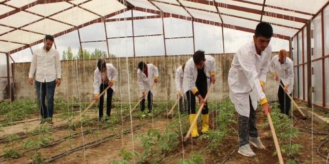 Öğrenciler hem öğreniyor hem gelir elde ediyor