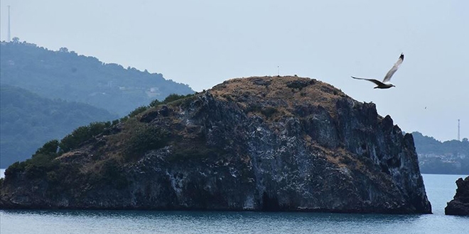 'Sakin şehrin' adası kuşlarıyla ilgi çekiyor