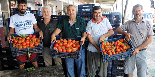İhracat düştü, domatesin fiyatı dibe vurdu