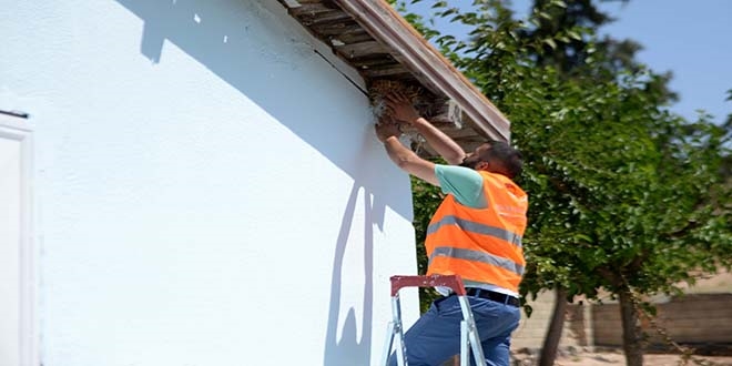 Meslek öğrenen hükümlüler okulları yeniliyor