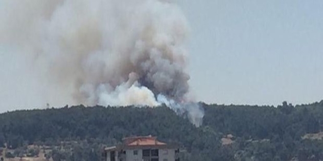 İzmir'de orman yangını
