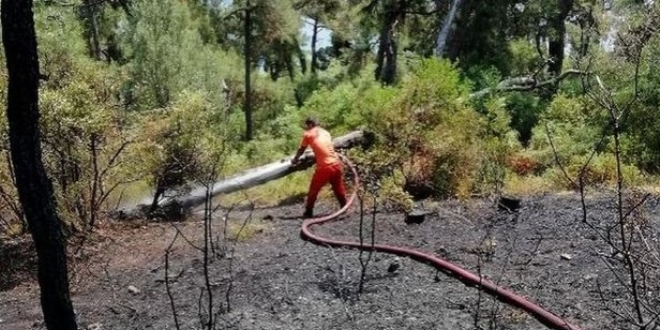 Heybeliada'da orman yangını çıktı, müdahale ediliyor