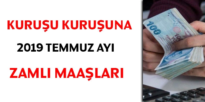 299 kadro ve pozisyon özelinde, 2019 Temmuz ayı net maaş ve ücretleri