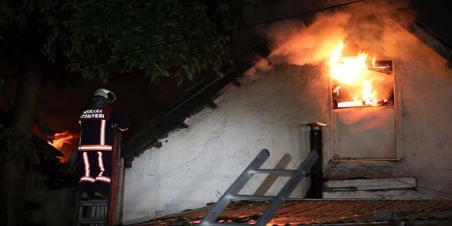 Bahçesindeki kediler Burhan dedeyi kurtardı