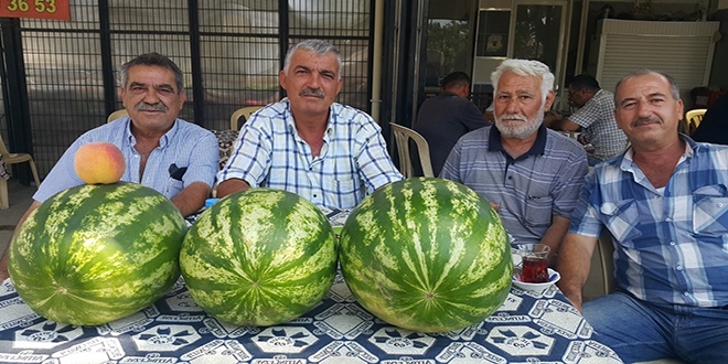 demi karpuzunun tad var, alcs yok