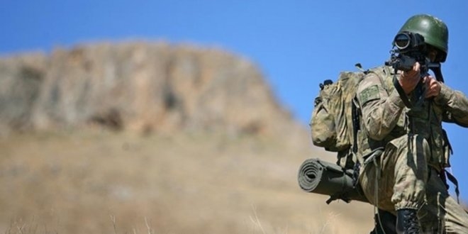 Diyarbakır-Lice kırsalında iki terörist etkisiz hale getirildi