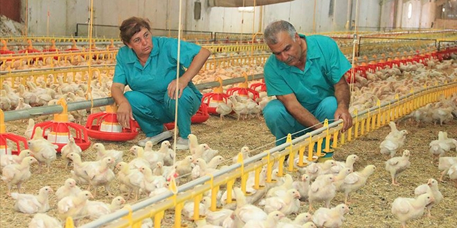 İkinci baharlarında devlet desteğiyle işletmeci oldular