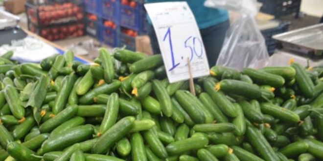 Salatalık tarlada 30 kuruş pazarda 1,5 lira