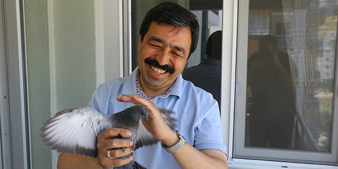 Profesör güvercinler için seferber oldu